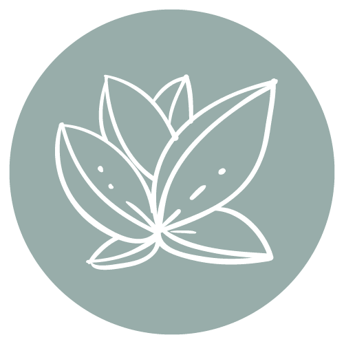 The Little Yoga Studio